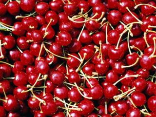 BSGPO producent owoców owoce ziarnkowe jabłka gruszki owoce pestkowe śliwki czereśnia wiśnia